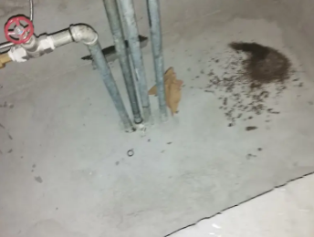 泽库卫生间测漏水价格明细